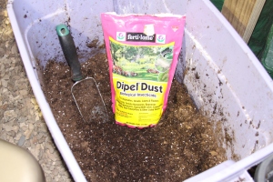 Dipel Dust mixed in potting soil, ready for seedlings. 